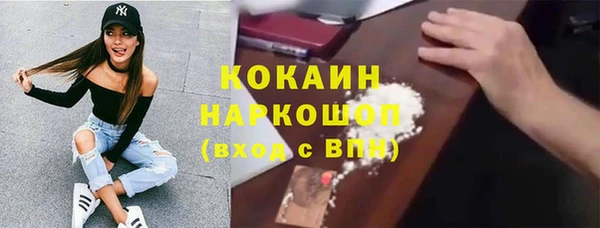 шишки Мегион