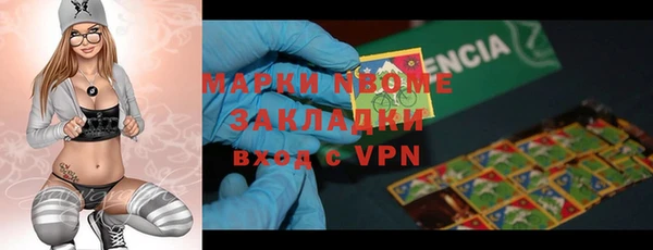 шишки Мегион
