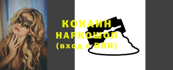шишки Мегион
