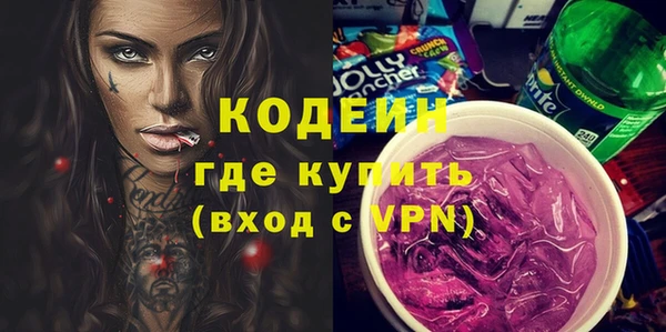 шишки Мегион