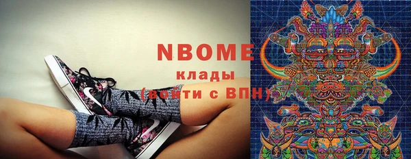 шишки Мегион