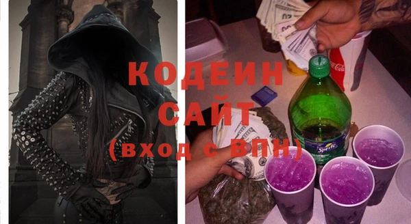 шишки Мегион