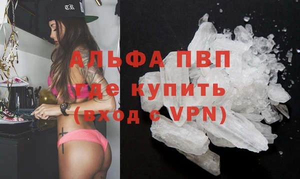шишки Мегион