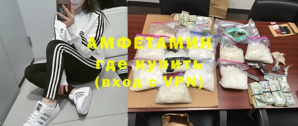 шишки Мегион