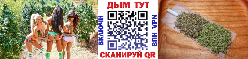 mega ссылки  Обнинск  Бошки Шишки планчик  продажа наркотиков 